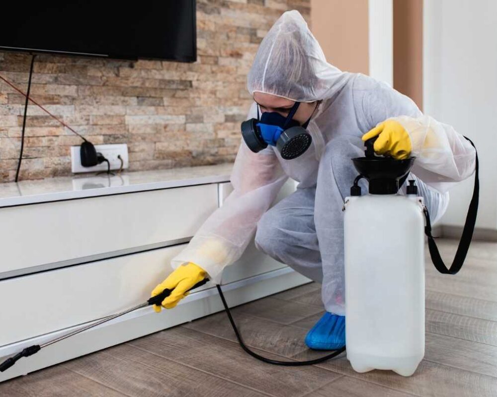 General Pest Solutions (1)